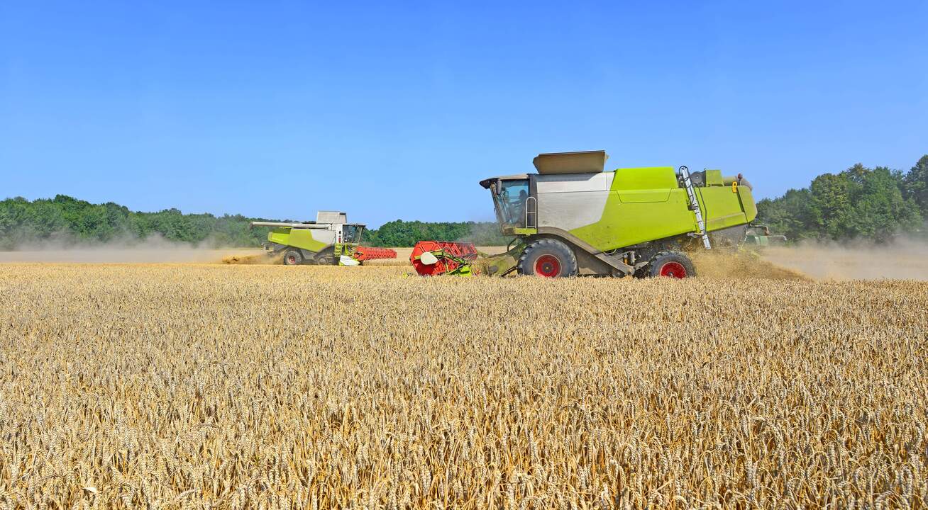 silder-3